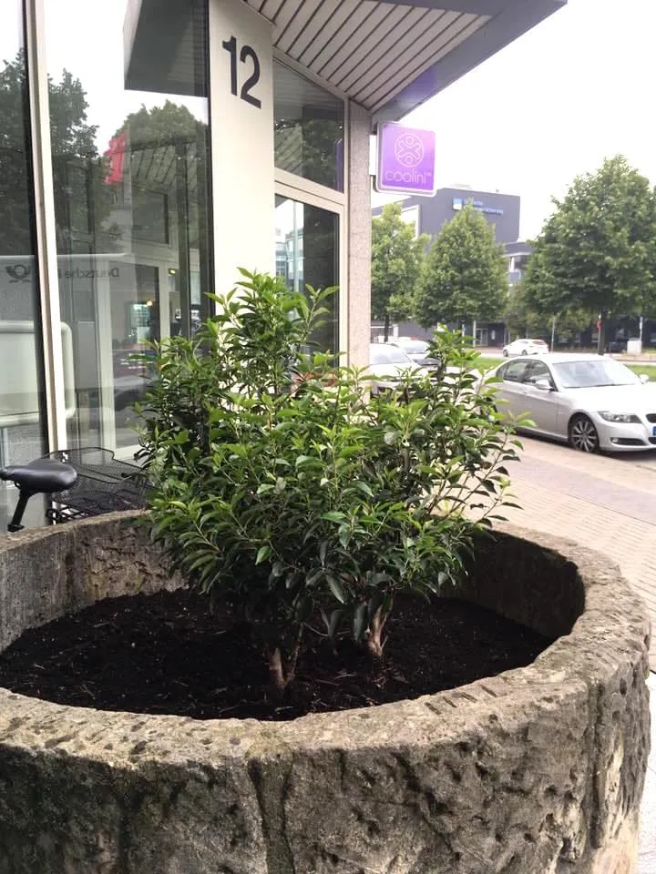 Außenansicht Beauty Institut Coolini